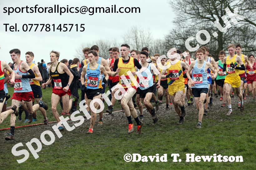Senior boys 2019 New Balance English Schools Cross Country Champs, Temple Newsam, Leeds. Photo:  David T. Hewitson/Sports for All Pics